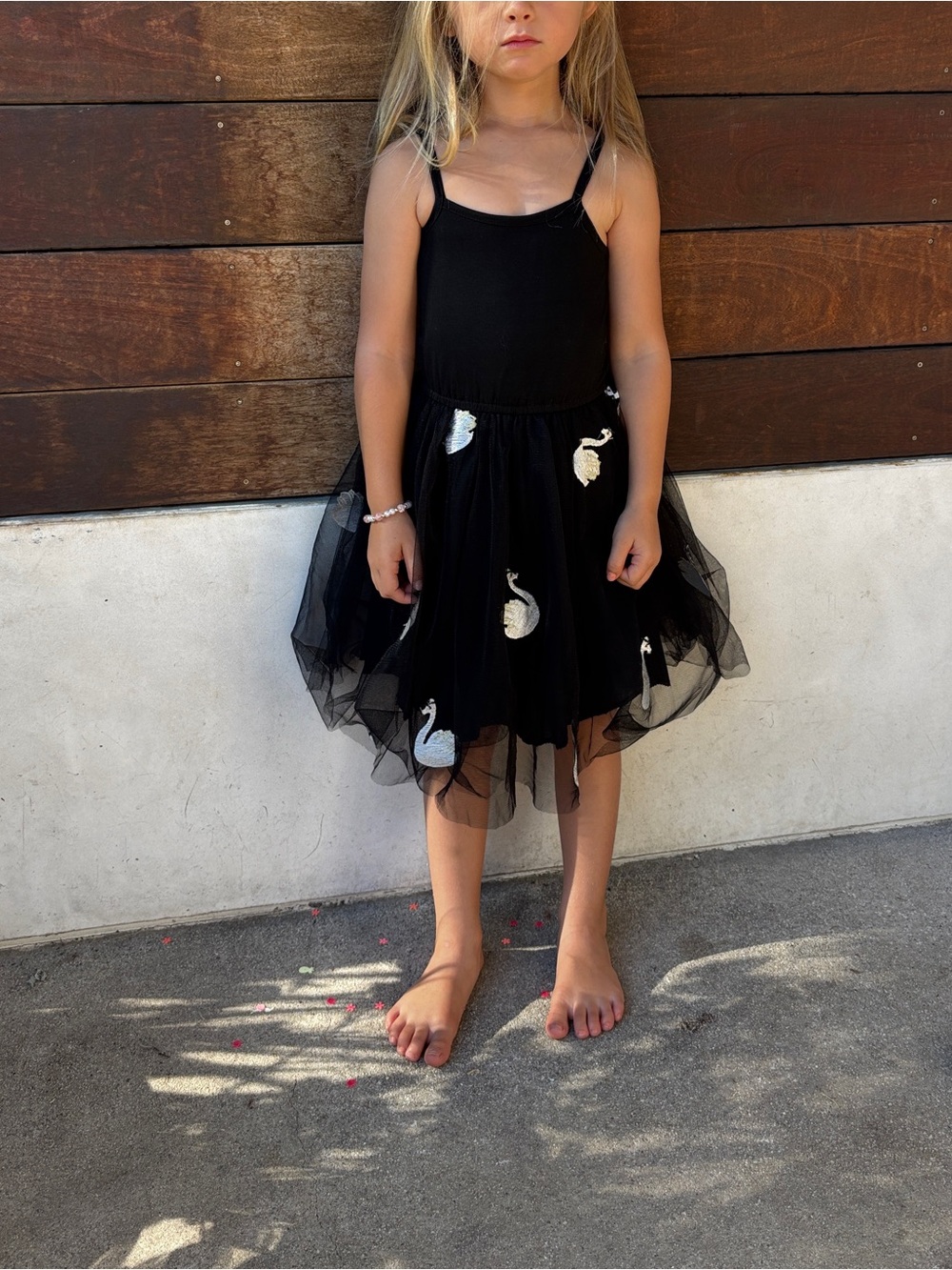 Siaomimi Black Tulle Dress with White Swan Embroidery
